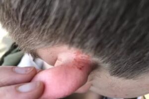 haargenau by Sebastian