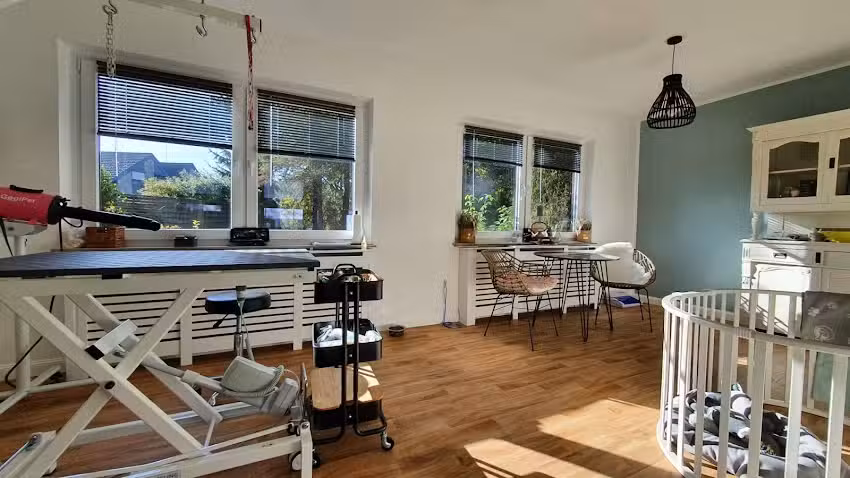 Haariges Vergn&uuml;gen &ndash; Hundesalon/-Friseur Inh. Veronika Espelage