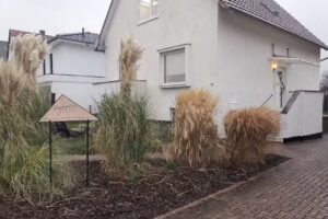 Haarspitze Ines Sanderhausen