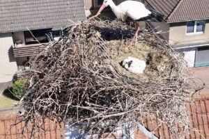 Haarstudio K. Inh. Dirk Kruppa