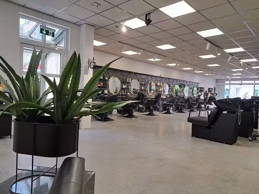 Haircules Friedlingen