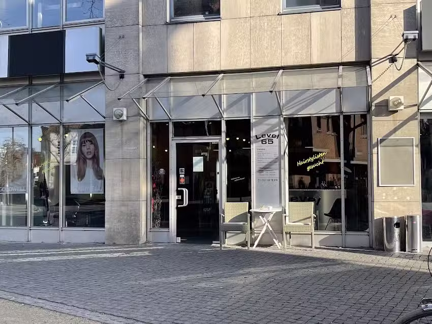 Hairstyling Level 65