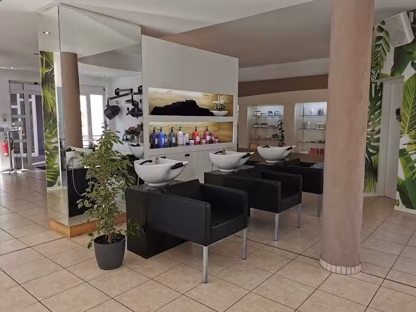 Hairzst&uuml;ck Buchen