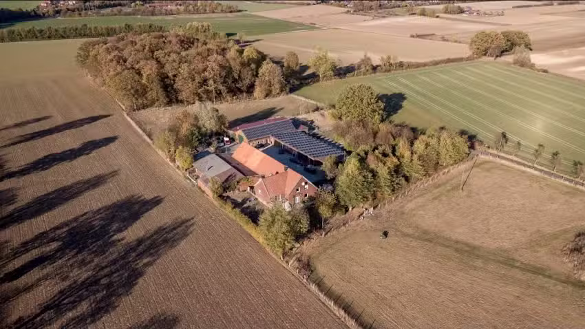 Hannas Hundesalon
