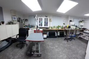 Hunde-Salon „Monti“