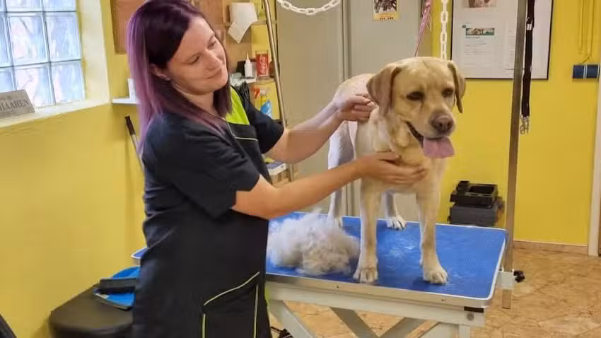 Hunde- und Katzensalon &bdquo;Fellmagie&ldquo;