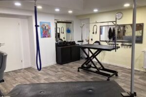 Hunde- und Katzensalon &bdquo;Fellness Calden&ldquo;