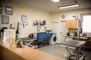Hunde- und Katzensalon in Stuhr