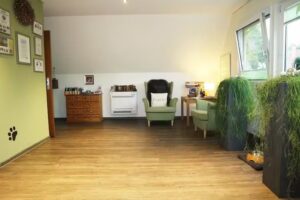 hundefriseur-am-duemmer-see