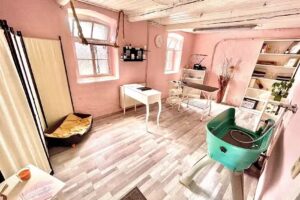 Hundefriseur – „Dog meets Horse“ – Lisa-Marie Bärwolff