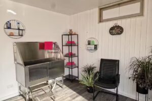Hundefriseur Georgsmarienhütte Hair & Health Karina Wendt