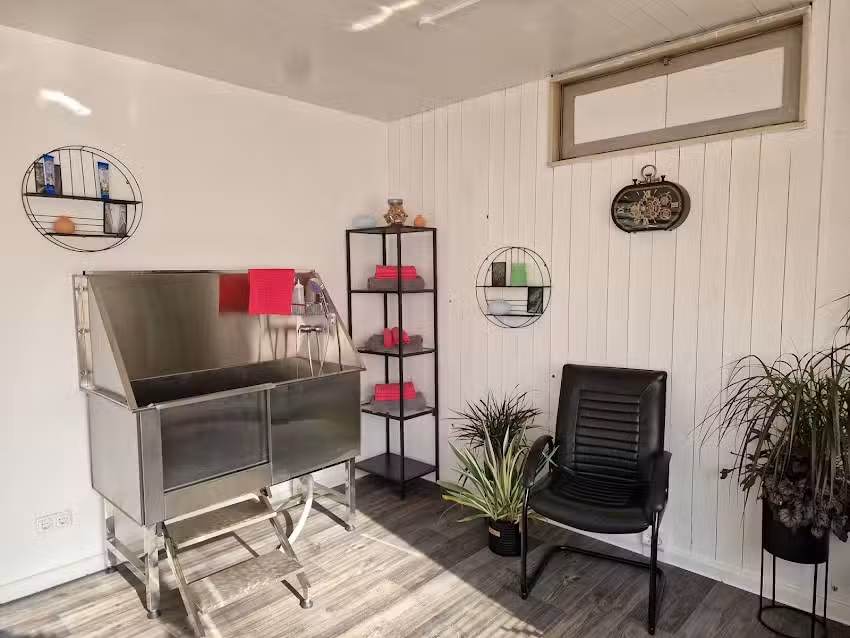 Hundefriseur Georgsmarienh&uuml;tte Hair & Health Karina Wendt