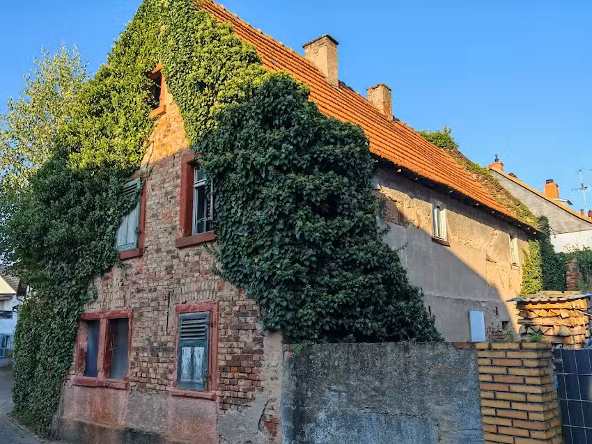 Hundefriseur M&uuml;nster bei Dieburg