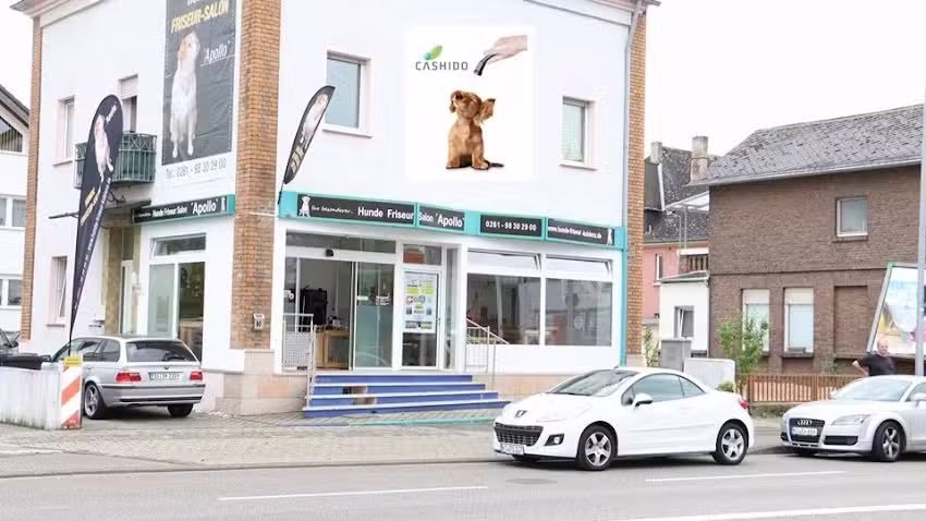 Hundefriseur Salon Apollo & Groomerschule