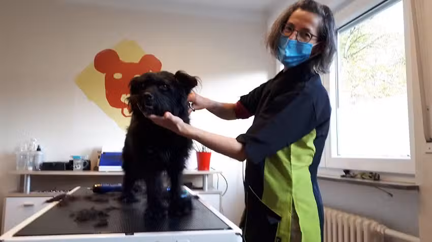 Hundefriseur Steffen