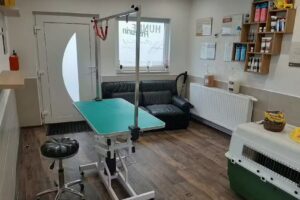 HundeFriseurin Christin Bischoff