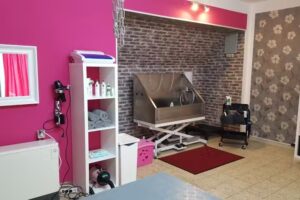 Hundesalon Beauty Bella