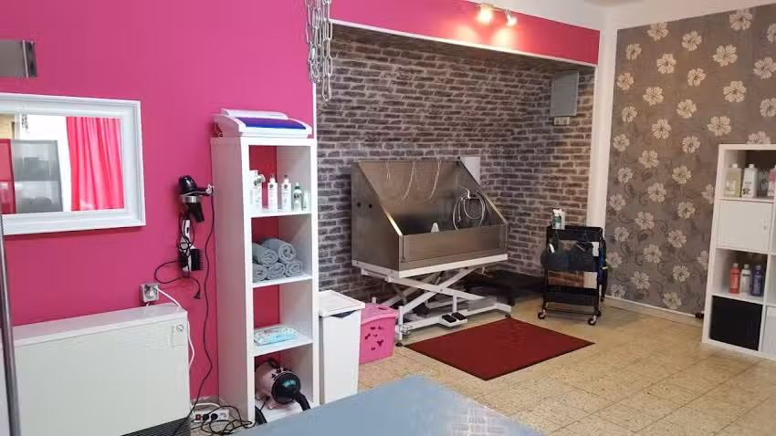 Hundesalon Beauty Bella