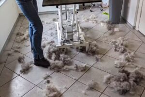Hundesalon Cherk in Neuendorf bei Elmshorn