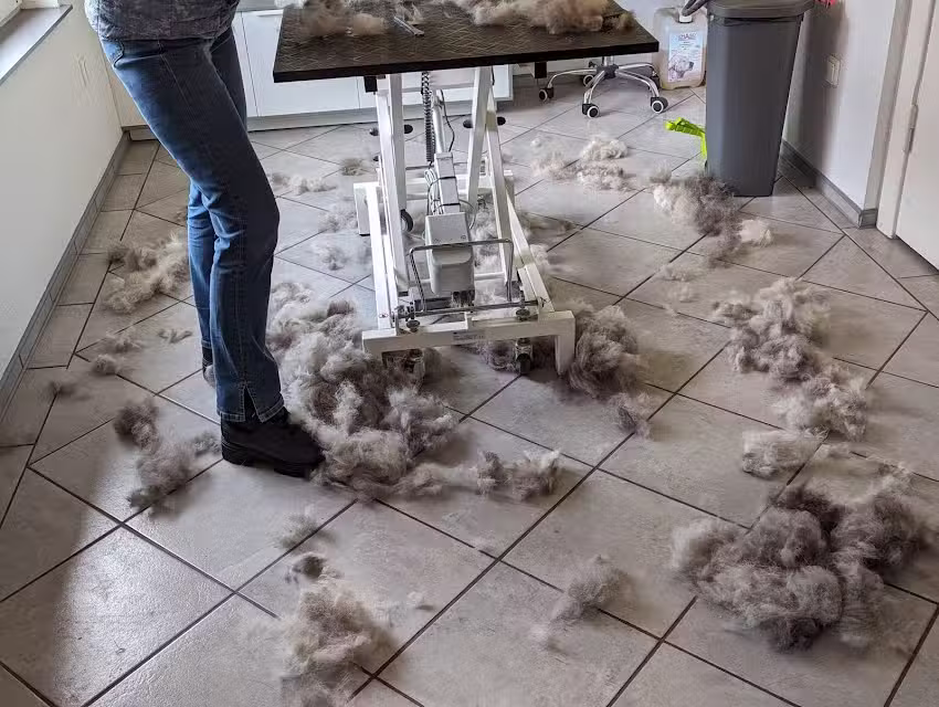 Hundesalon Cherk in Neuendorf bei Elmshorn