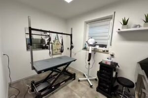 Hundesalon Cut & Style