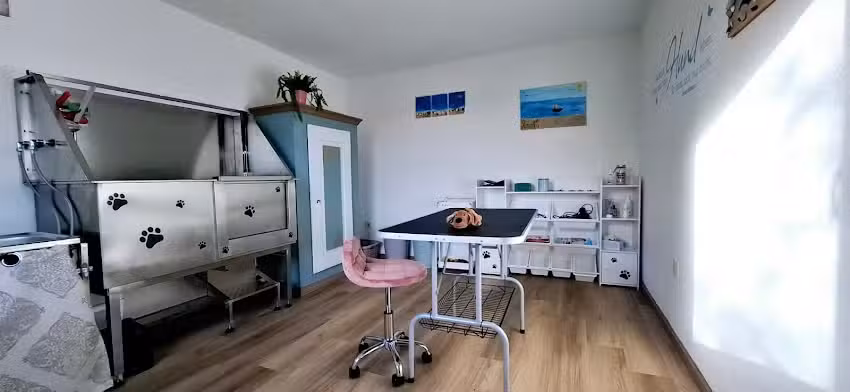 Hundesalon Dogfix