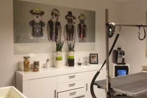 Hundesalon &bdquo;Doggy Diamond&ldquo; Ennigerloh