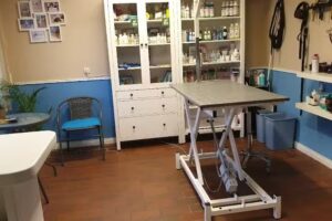 Hundesalon Fell&Meer