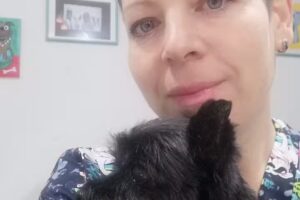 Hundesalon Fellkartell