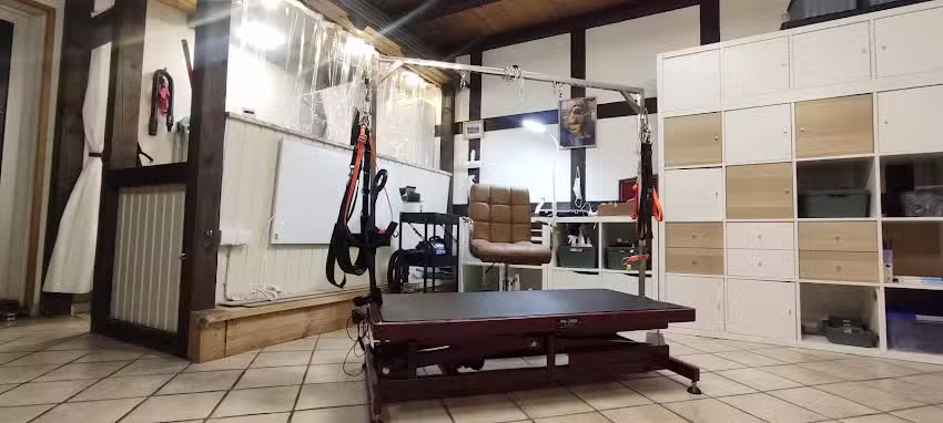 Hundesalon Fellstube by katti