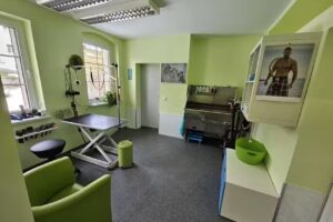 Hundesalon „Für alle F(a)elle“