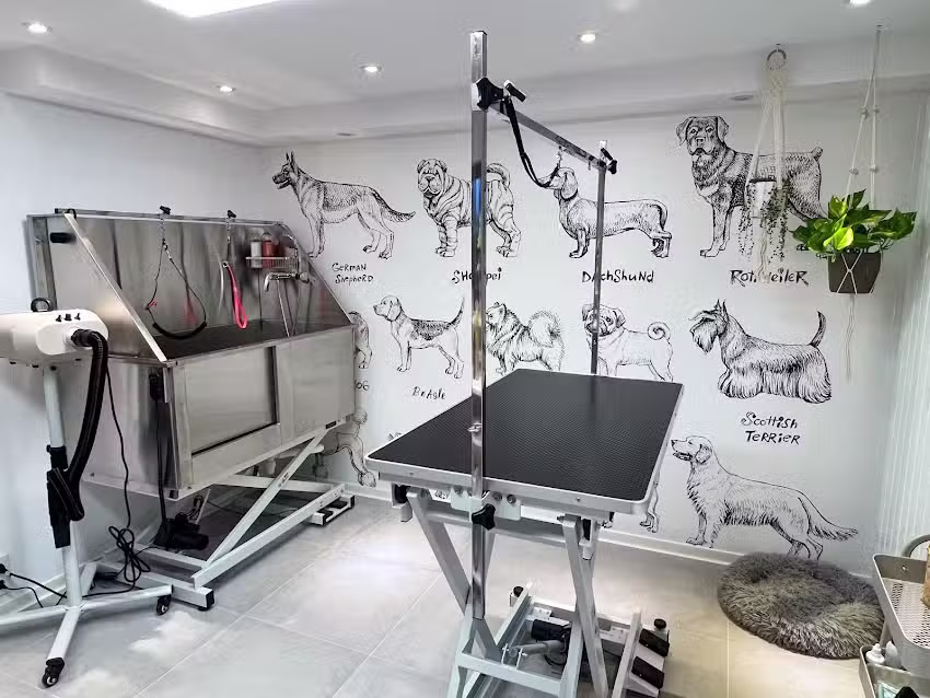 Hundesalon G&ouml;rner