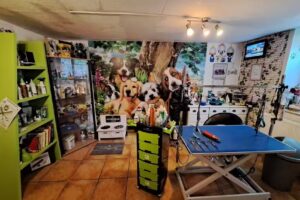 HUNDESALON, Hundefriseur im Hunsrück