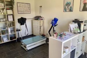 Hundesalon NADDIS Tieroase, Tierfriseur und mehr