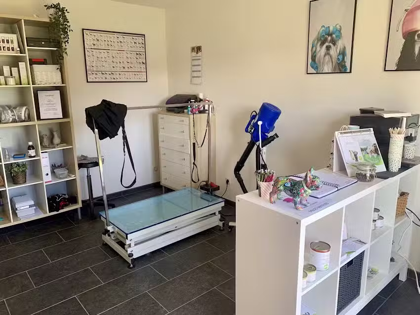 Hundesalon NADDIS Tieroase, Tierfriseur und mehr