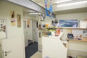 Hundesalon Pfiffikus