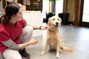 Hundesalon Pfötchenschön