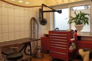 Hundesalon Pico Bello | 21435 Stelle | Inh. Iris Deuse