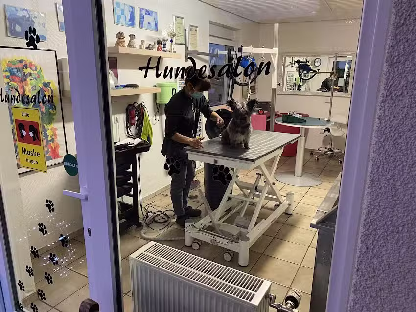 Hundesalon Pico Bello