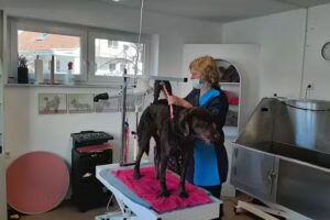 Hundesalon Picobella