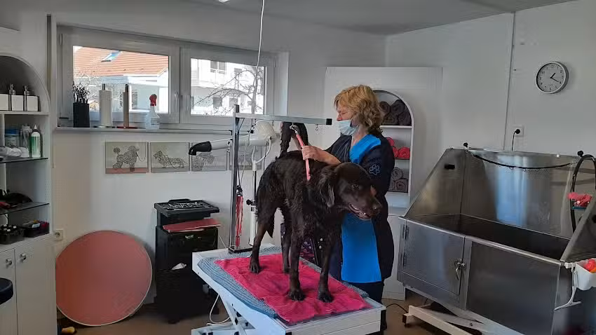 Hundesalon Picobella