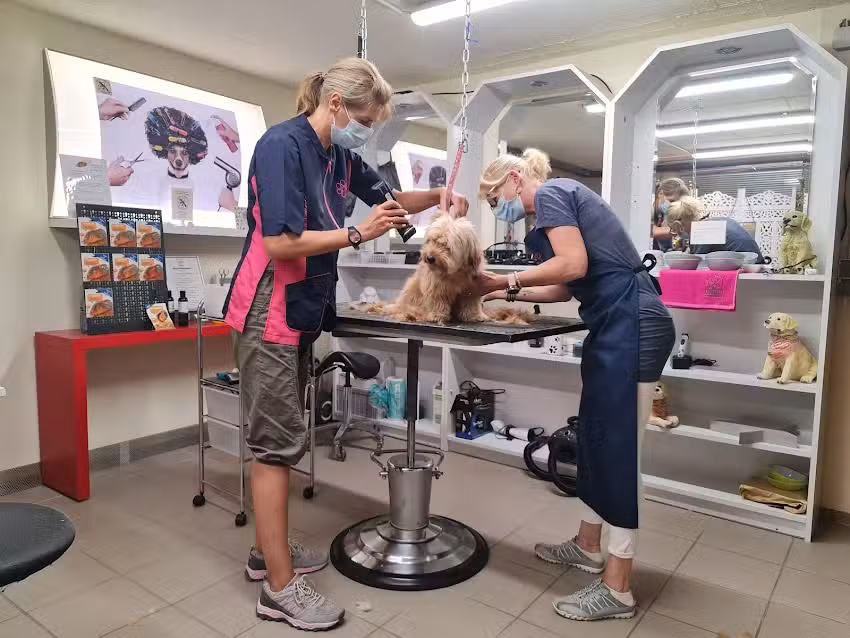 Jimmy und Milo&rsquo;s Hundestube