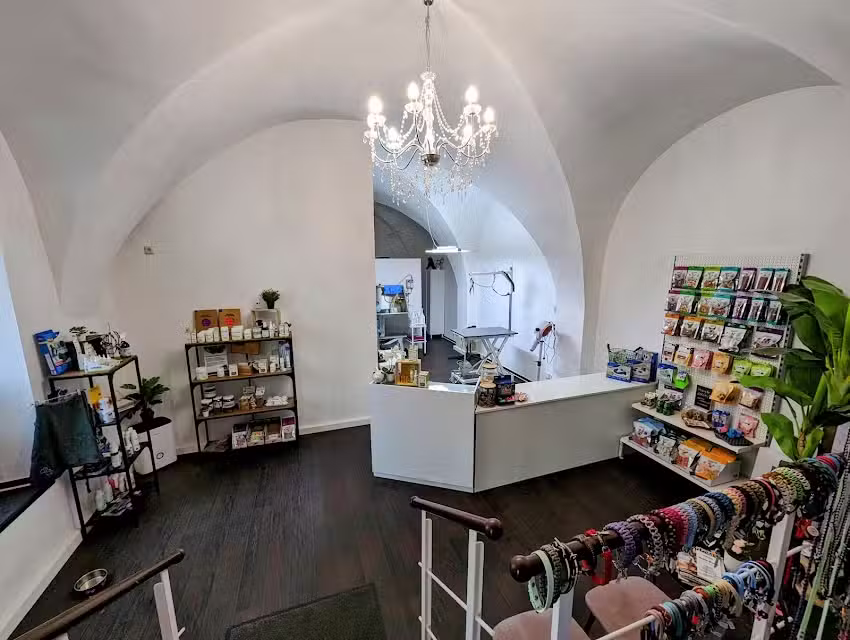 Katja&rsquo;s FellSchnitte &ndash; Dein Hundesalon