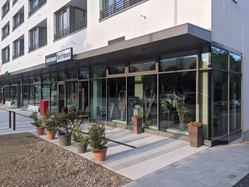 Lockschuppen &ndash; Die Friseure