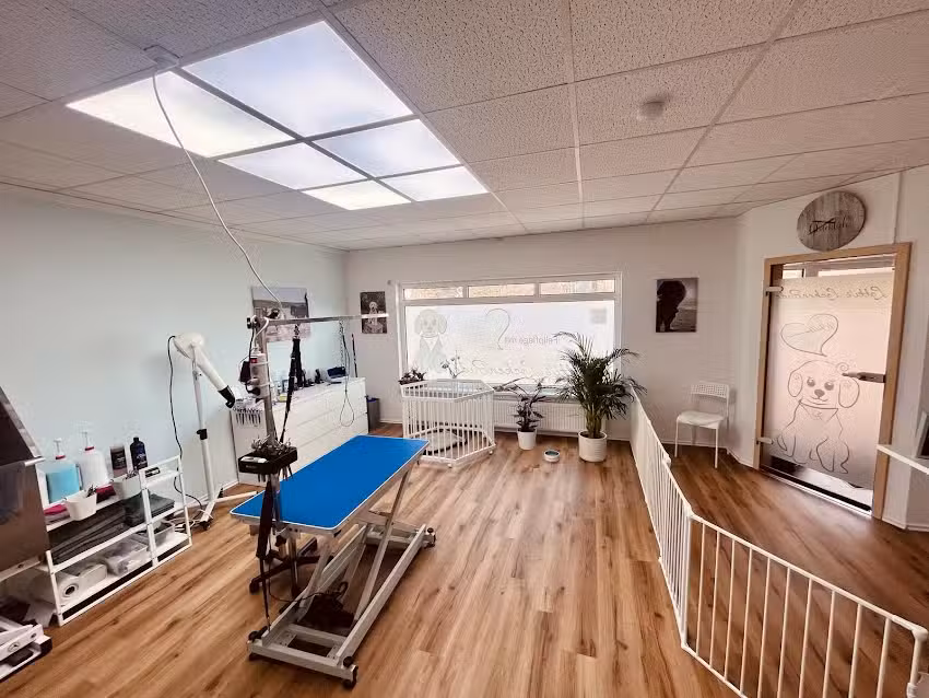 Lotti`s LockenBude Hundesalon Wustrow