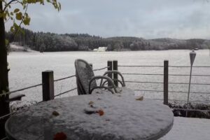 Michi’s Haargeflüster Friseur