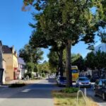 Molly&rsquo;s Struppelshop