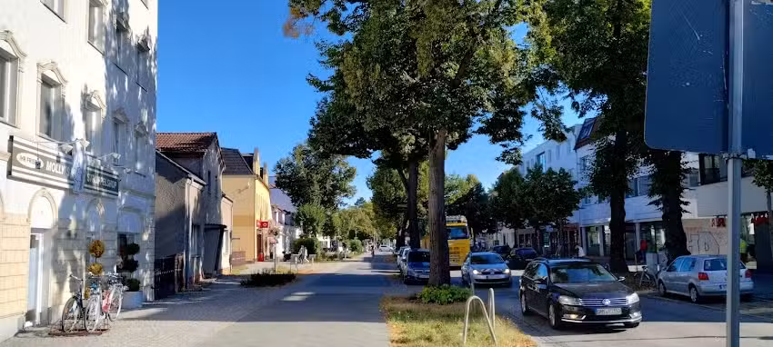 Molly&rsquo;s Struppelshop