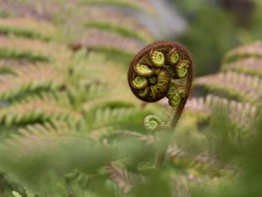 Naturheilkunde Beraterin &ndash; Jutta-Maria Martin