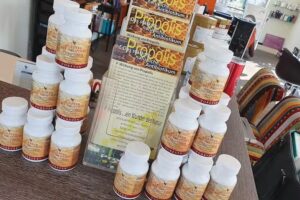 Orange Lifestyle Lounge – Stefanie Schüll